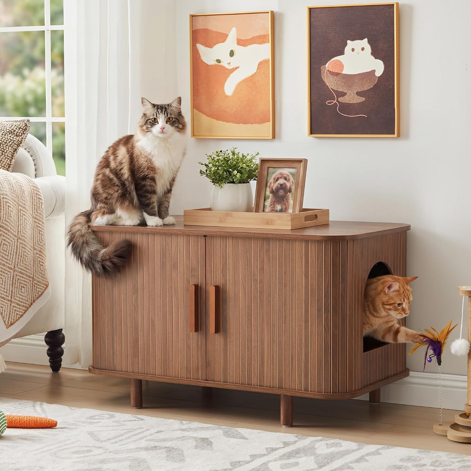 Amazon Home Finds For Cats That Won’t Ruin Your Aesthetic